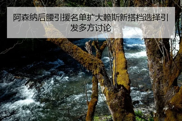 阿森纳后腰引援名单扩大赖斯新搭档选择引发多方讨论